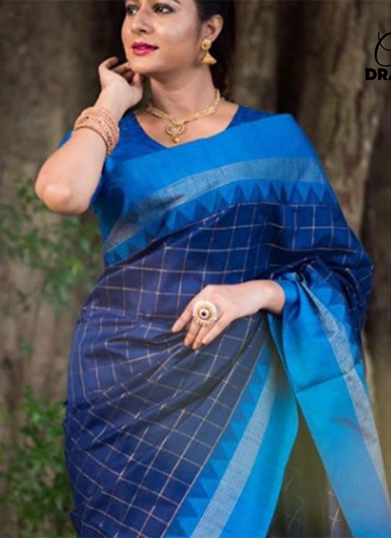 Blue Checkered Saree